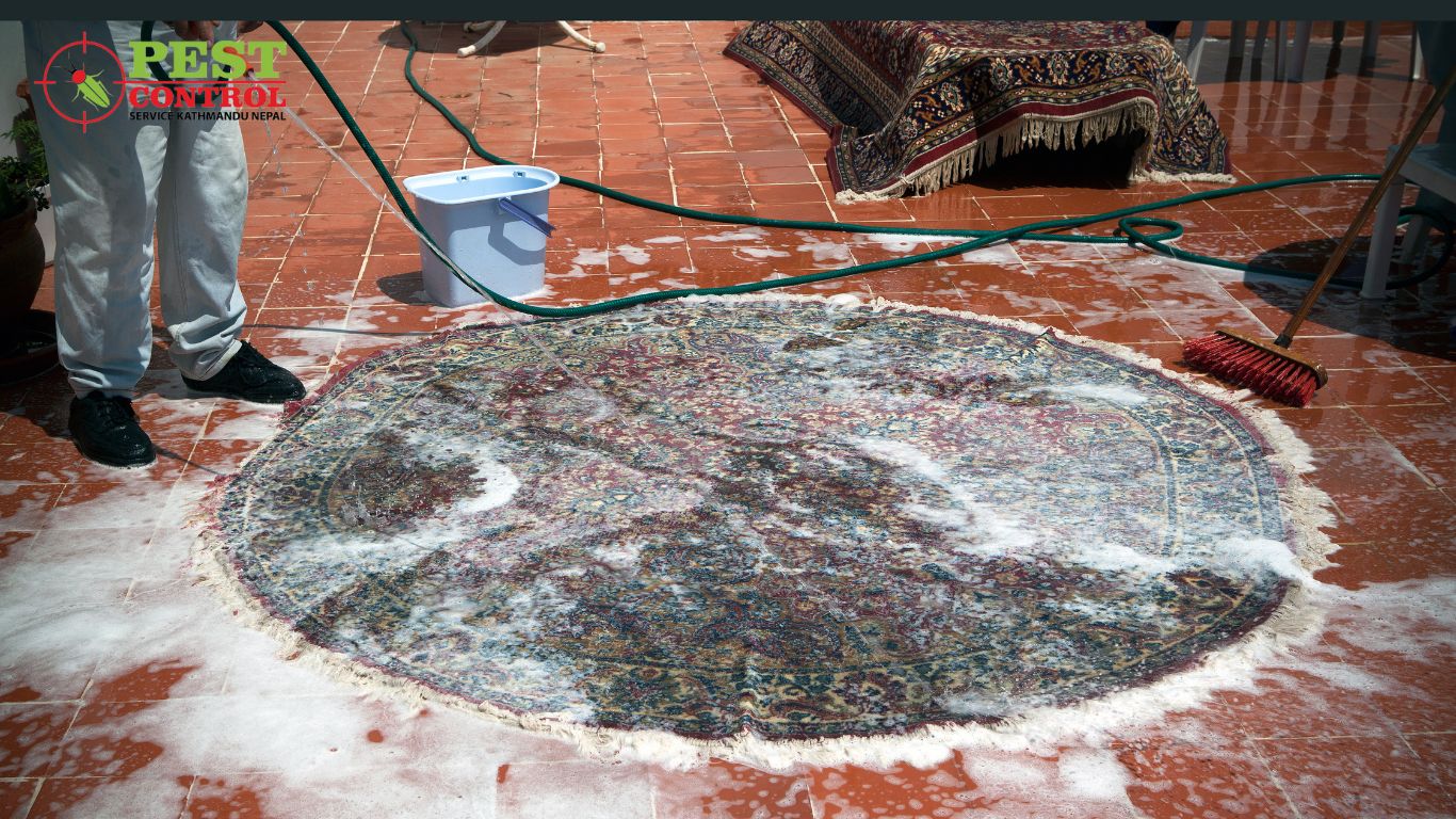 Rug/Galaicha Cleaning and Dyeing