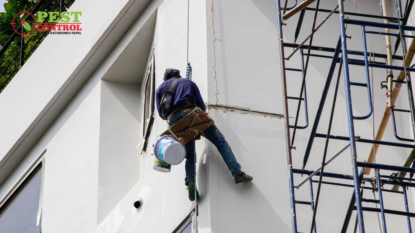Painting Service
